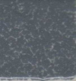 Pebble S29A