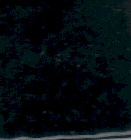 Ebony S30C